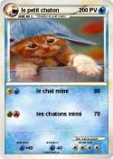 le petit chaton