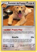 Summer da Puppy