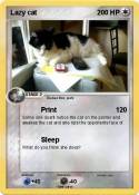 Lazy cat