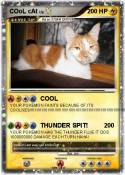 COoL cAt