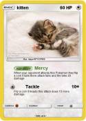 kitten