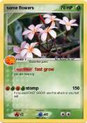 some flowers