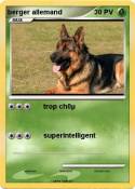 berger allemand