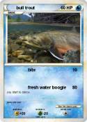 bull trout