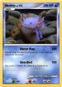Mudkip