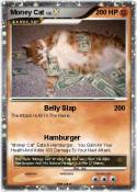 Money Cat