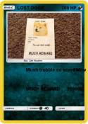 LOST DOGE