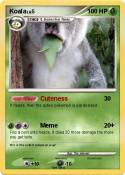 Koala