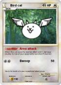 Bird cat