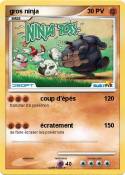 gros ninja