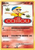 CAILOU 2