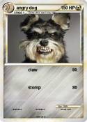 angry dog