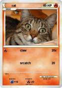 cat