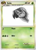 Turtle