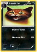 Thunder Cat