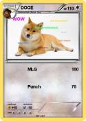 DOGE