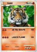 TIGRE