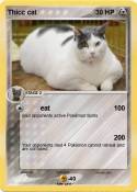 Thicc cat