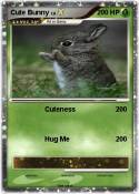 Cute Bunny