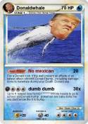 Donaldwhale