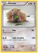hamster