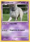 irish wolfhound