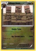 Villager News