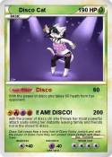 Disco Cat
