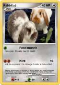 Rabbit