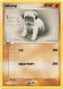 sad pug