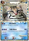 Seaott