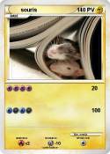 souris
