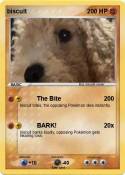 biscuit