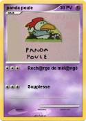 panda poule