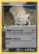 le lapin