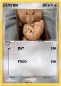 HAMSTER