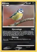 Blåmeis