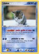 chaton