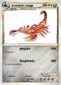 scorpion rouge