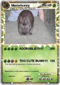 Masterbunny