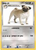 pug