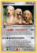 Hundi(Chien)