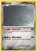 Wild wind