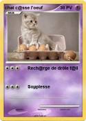 chat c@sse