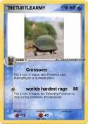 THETURTLEARMY