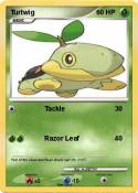Turtwig