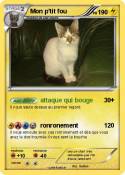 Mon p'tit fou