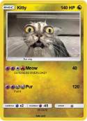 Kitty