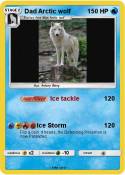 Dad Arctic wolf