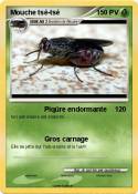 Mouche